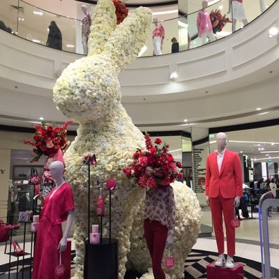 N00989684N's profile picture. 