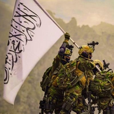 shahhxsyed's profile picture. 