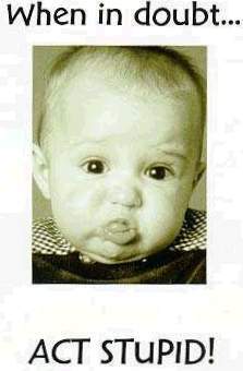 tanteTilll's profile picture. mens met groot gevoel voor rechtvaardigheid.
altijd op zoek naar interessante nieuwtjes en nieuwe kleurtjes verf.