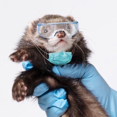 BlameJudah's profile picture. I have no idea what I’m doing with my life.