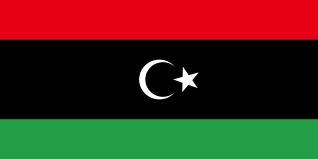 Benghazi born, American raised. In and out of Libya lots. Praying for freedom for my homeland and an end to Gaddafi and his people one way or another.
