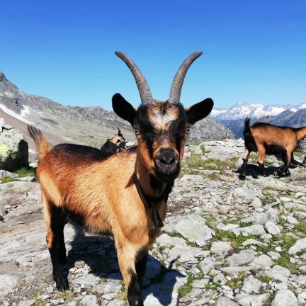 Freiheit und Selbstverantwortung.

Nie wieder Sozialismus! Gegen JEDEN Extremismus.

Natur. Bergwandern. Bergradln.

Alle Fotos selbst aufgenommen