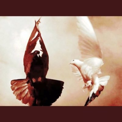 Canbey2134's profile picture. MÜCADELEYE DEVAMKEEEEE..✌🏻✌🏻✌🏻