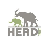 HERD (@herd_elephants) 's Twitter Profile