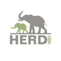 HERD(@HERD_Elephants) 's Twitter Profile Photo