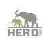 HERD (@HERD_Elephants) Twitter profile photo