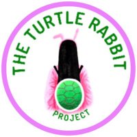 The Turtle Rabbit Project (@jisootrproject) 's Twitter Profile