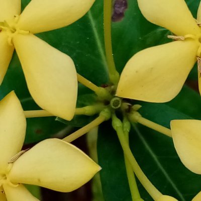 don_tig's profile picture. Saved to serve