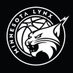 WNBA Resource (@WnbaResource) Twitter profile photo