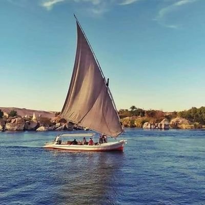 GYWxeAdq9ccaB28's profile picture. 