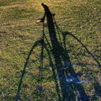 Peter Dedman (@peterbdedman) 's Twitter Profile Photo Peter Dedman (@peterbdedman) 's Twitter Profile Photo