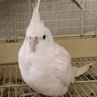 SlumpyArkOOC's profile picture. @xSlumpyArk OOC •°•°• I was forced to make this