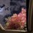 ealyh16's profile image