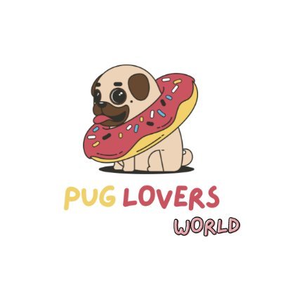 💪🏼Are you a real #puglover?
👀 or Your friend loves #pug?
🚾 Welcome this profile!!!
📬 I will post daily #pugs videos and pictures!