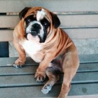 Rick Hernandez (@newrivendell) 's Twitter Profile