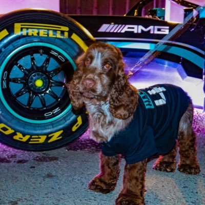 Hammertime by name & nature I am always out to be the best doggo ever. Like Lewis I am Stevenage born. Helping my hoomans keep life on track! AKA Charlie.#LH44