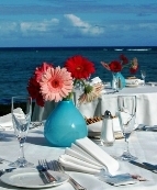 Dania Jolley Profile