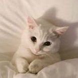 _lostinthepages's profile picture. go away