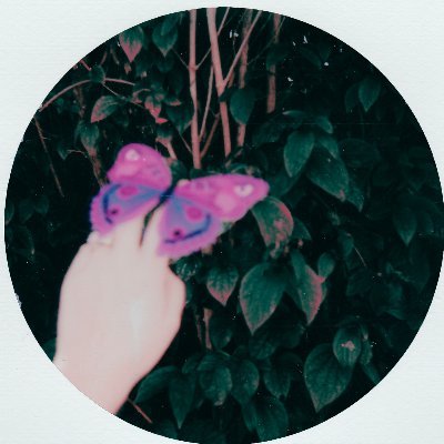 ABCDPQRSWXYZ's profile picture. Who am I??????