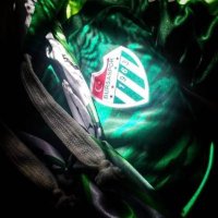 ıvıvıvvjvjv (@bursasporlu_at) Twitter profile photo