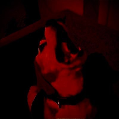 T40M45714's profile picture. 