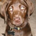 Tracy Brubaker - @Daisymae29 - Twitter