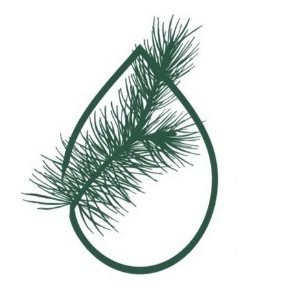 GoResinlab's profile picture. Grupo operativo GO-RESINLAB es un laboratorio experimental para mejorar el aprovechamiento de la resina, su cadena de valor y la profesionalización del sector.