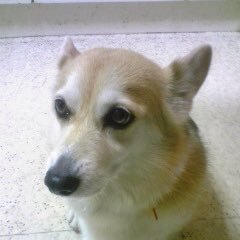 katyos's profile picture. 