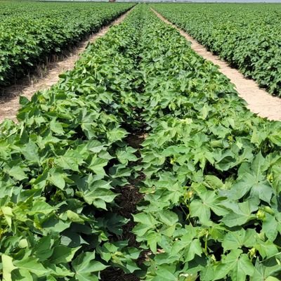 jkey4322's profile picture. 