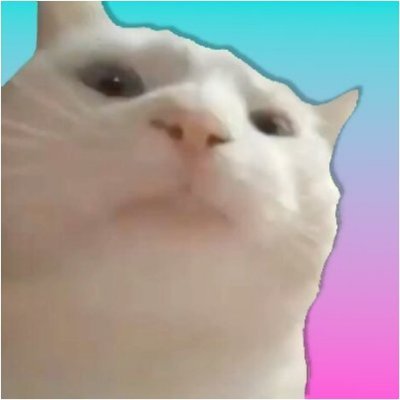 Catvibes88's profile picture. Just a Cat vibing