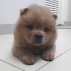 mayumurakun's profile picture. Just chill and have some fun.