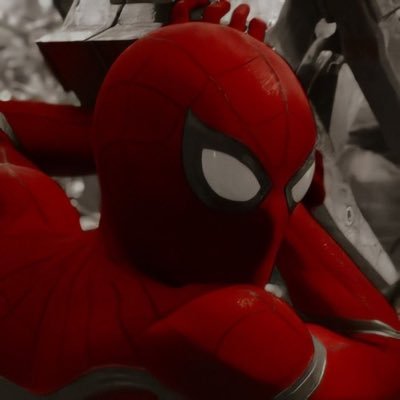 MaximumSpideyy's profile picture. Ayeee sup guys! Follow for daily spidey content! 🕷 Love all Spider-Men (except some) I was inspired by other Spider-Man fan accounts on Instagram.