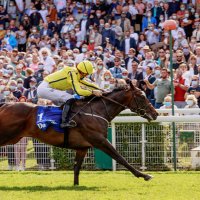 Rashed Al Maktoum (@rasheddalmook) 's Twitter Profile