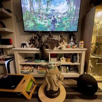 Khuzu (@foureyes) 's Twitter Profile