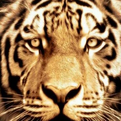 rodben_1's profile picture. Love God! Love me!