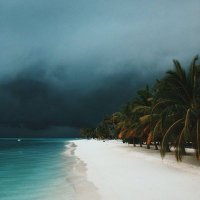 💚🎐 (@deniz9217) Twitter profile photo