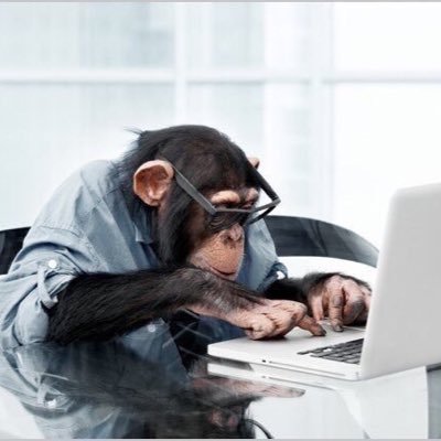 SamirMohsin1's profile picture. rotundamente