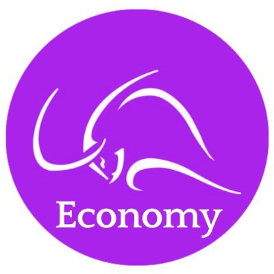 ZSEconomy Profile Picture