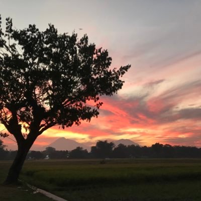 nuna17_'s profile picture. 