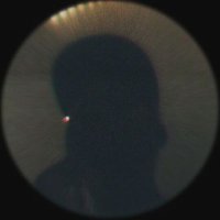 Timi (@vibeswithtimi) 's Twitter Profile