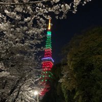 セリカST185RC (@st185rcrally) 's Twitter Profile