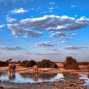 fradyfullmerr's profile picture. #airdrop #bounty #giveaway #MMO #Makemoneyonline
#Binance #ETH #BAT #Bitcoin #Brave #wed3