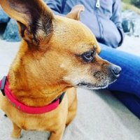 Adrian (@adrian_trade) 's Twitter Profile