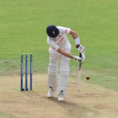 Rugby (Exeter) | Cricket (Somerset) | Cycling | Travel | #NoDig Gardening | Cricket Photography | Home Brew | Non-cricket photography, follow @MatthewCPhotos