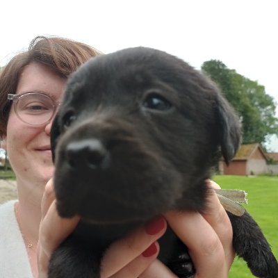 Dans une autre vie LR/AN/Sénat/Fipu.
Aujourd'hui je vends des frites en Baie de Somme avec un mari parfois drôle et 2 labradors.