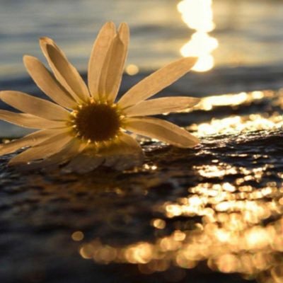کسی که آزادی می جوید زندانی برای اندیشه های دیگر نمی گسترد