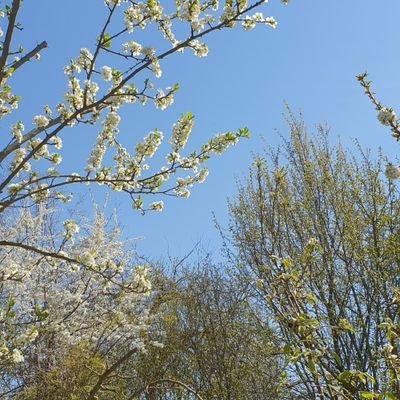 MINTbegeistert, Weltverbesserin, Bildung, Umwelt, Gesundheit.