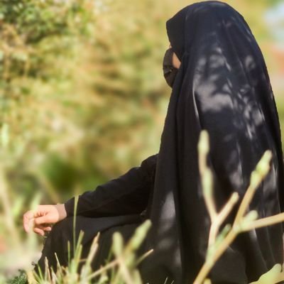 آقا مرتضی آوینی:شاید جنگ پایان یافته باشد ؛اما مبارزه هرگز پایان نخواهد یافت.
فالو=بک