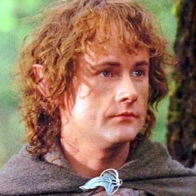 teddy peregrin🏹 pippin lover ‘till death🍂 hobbiton ‘22⌛️ he/they🐌18