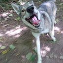 Becky Salter - @beckytsalter - Twitter